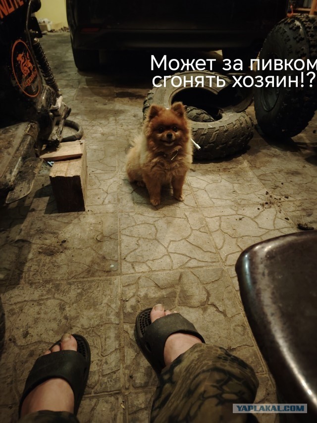 А что у вас?