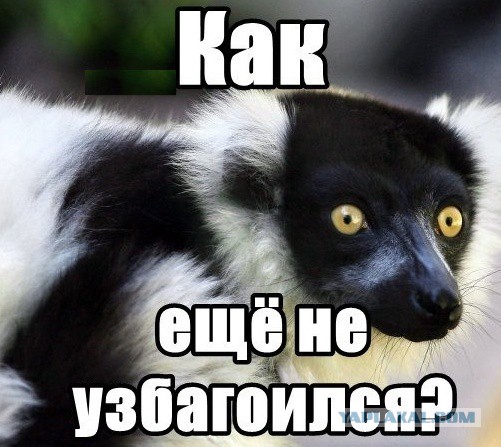 Американский провокатор продолжает