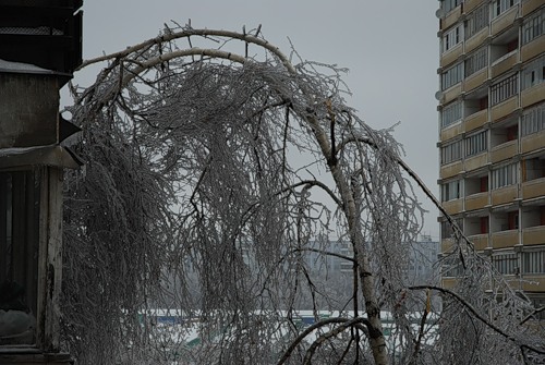 Лед на улицах Москвы