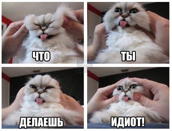 Позитивные картинки и комментарии.