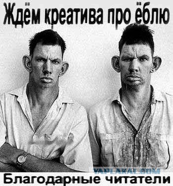 IT-эротика