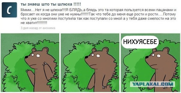 Медведи почти на все случаи жизни
