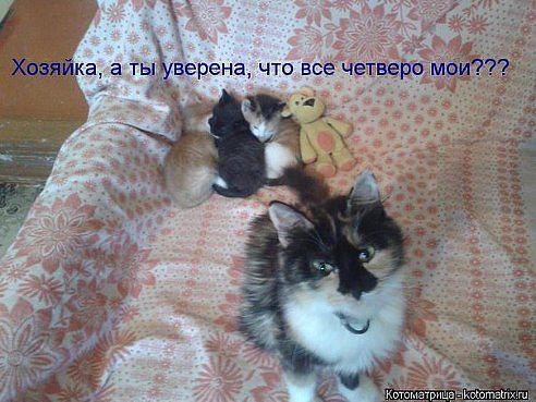 Немного позитива на пятницу.