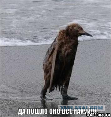 Всем зеленки!
