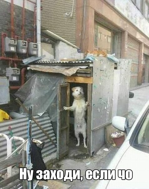 А вы к кому?