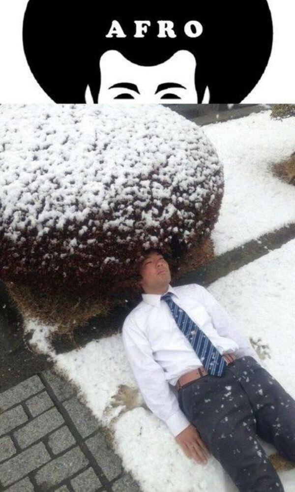 Весёлые картинки