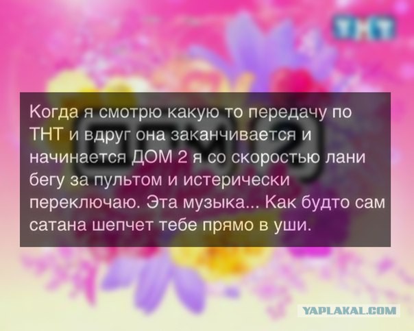 Забавные картинки из сети