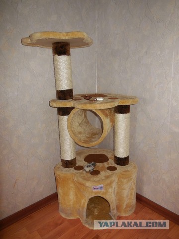 Гнездо для котэ.