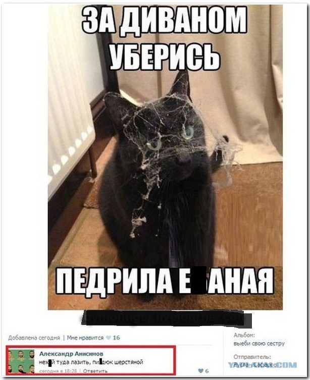Веселости или типо того