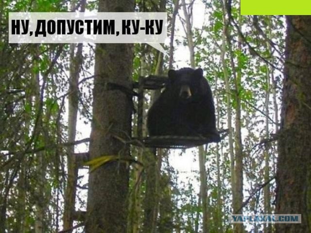 Подборка баянов.