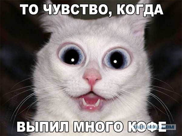 Картинки разные