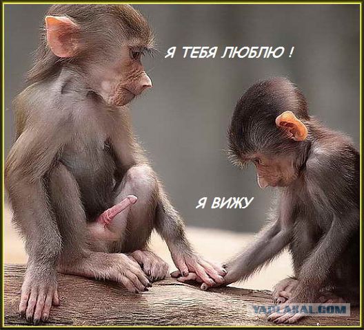 Суть женской логики
