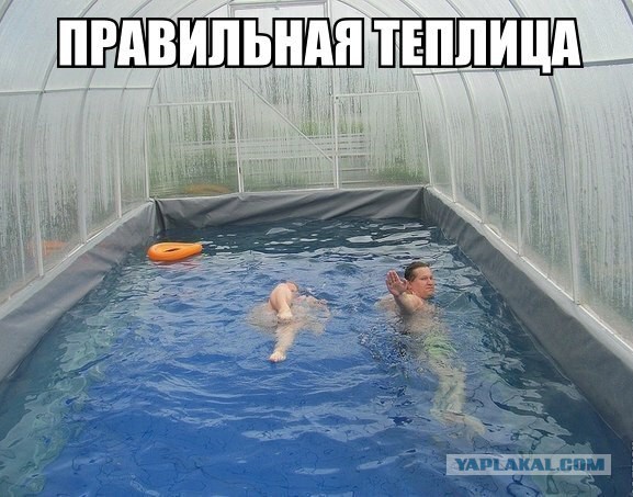 Подборка смешных и забавных фото