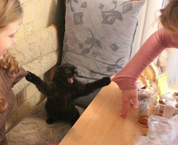 Разные картинки