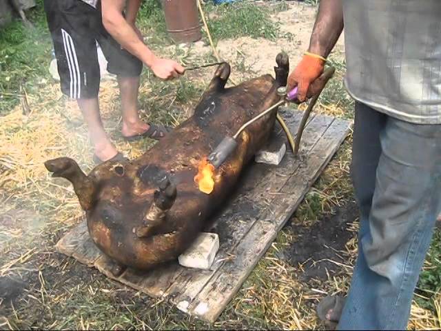 Электрики на сайте есть?
