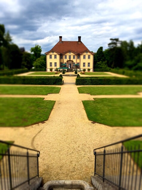 Картинки из сети