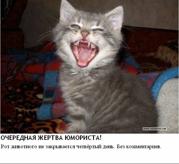 Фотожаба: Желтая пресса