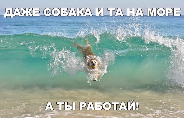 Мохнатые беспредельщики