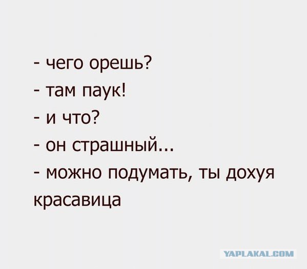 Картинки и приколы из сети, для поднятия настроения=)