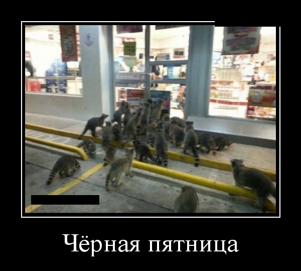 Картинки в черной рамке