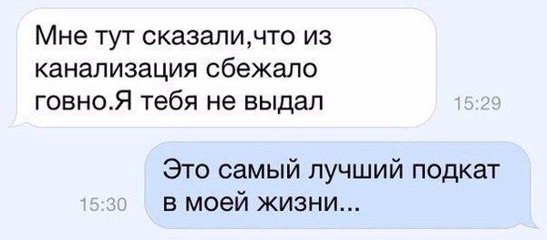 Веселые картинки и скриншоты
