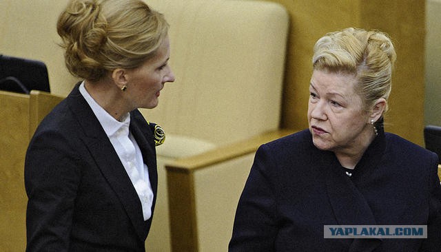 Светлана Орлова предложила ввести налог на сбор грибов и ягод