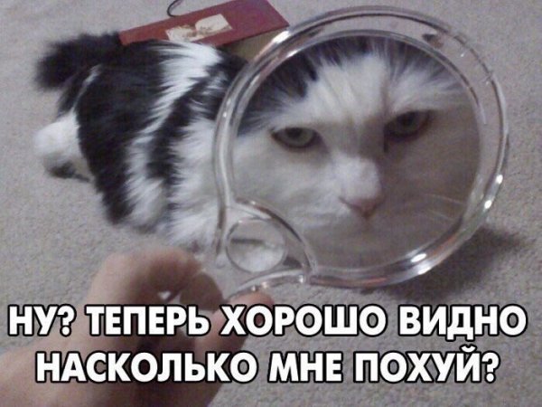 Приколы в стиле "регресс"