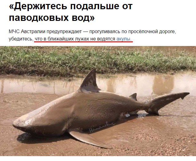 Этот безумный, безумный, безумный мир
