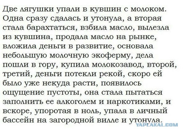 Немного картинок в обед