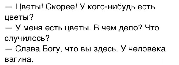 Ударная доза тупежа и лёгкой наркомании к выходным