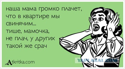 Жена засранка или чистюля?