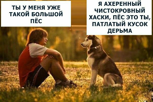 Немного картинок на сегодня