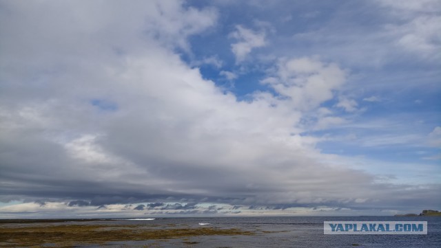 На море в шерстяных носках