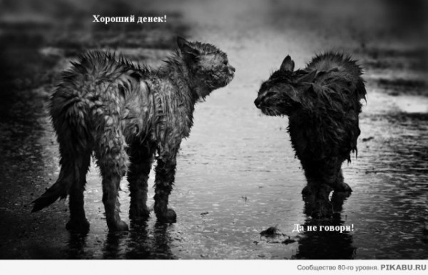 И шо у нас тут? Опа, картинки что-ли?