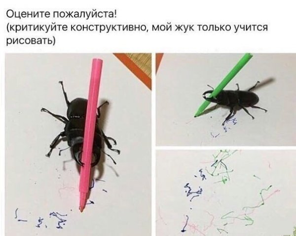 Нестандартный юмор