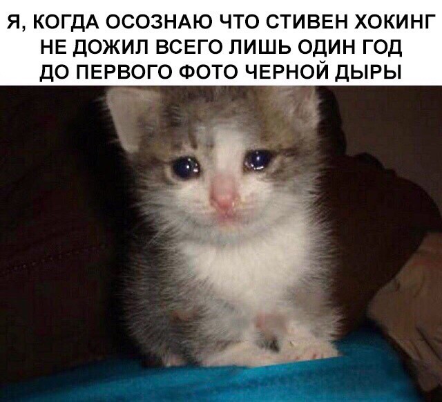 В свете последних событий