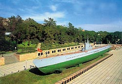 Секретный вояж