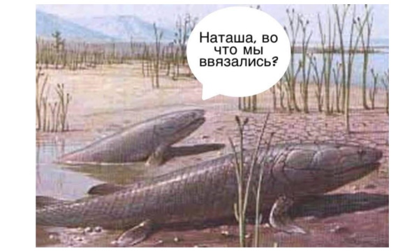 Как появилась наша Луна?