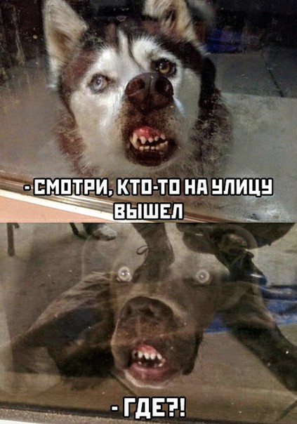 Немного картинок для настроения 01.04.20