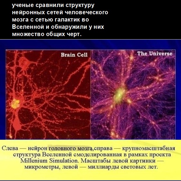 Картинки с надписями и всякие жизненные фразы