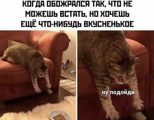 Весёлый полтишок 12.07