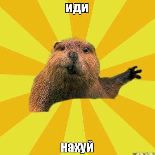 Основы свободной журналистики