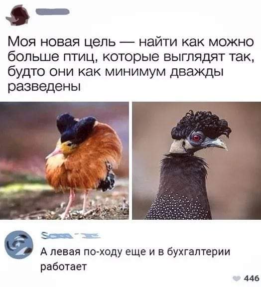 Так себе картинки 25.12.21