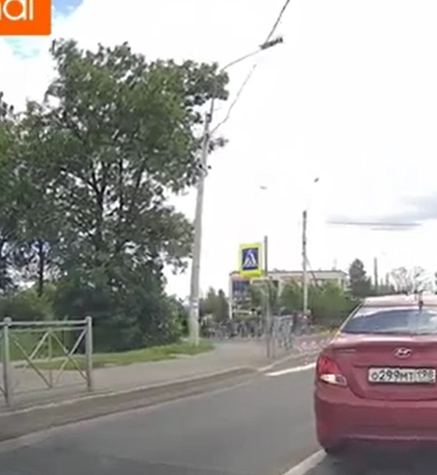 Самокатчик