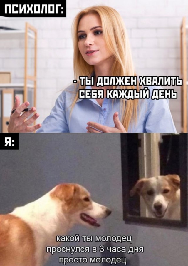 Картинки и мемы для настроения - 119