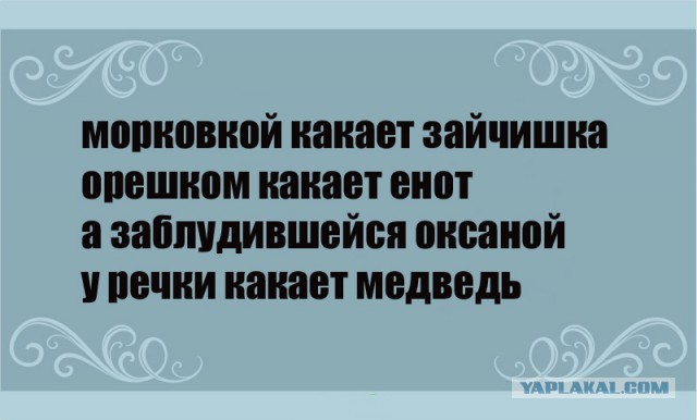 Медведь отгрыз охотнику щёку, но тот отомстил, превратив хищника в шашлык