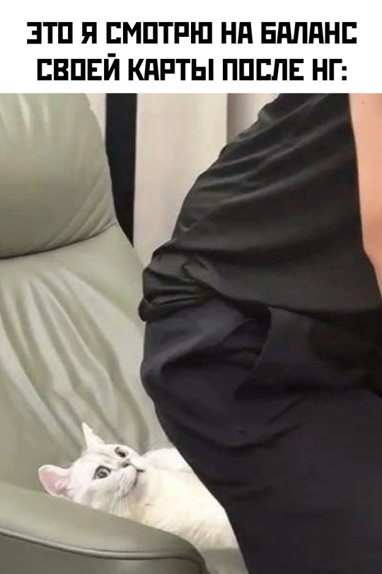 Весёлый полтишок 03.01.25