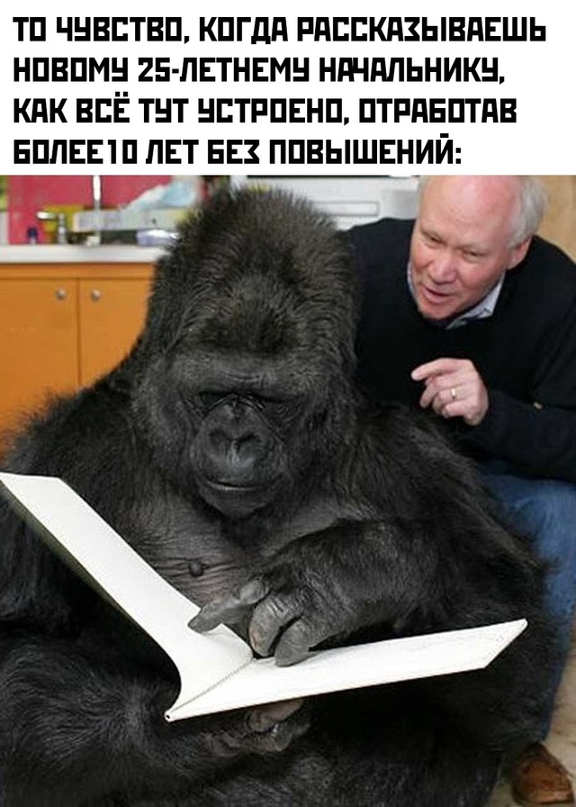 Весёлый полтишок 16.02.25
