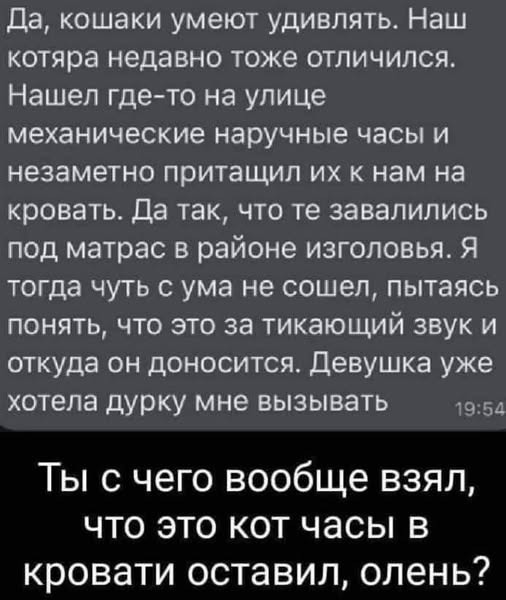 Завалялось тут случайно немного забавных картинок