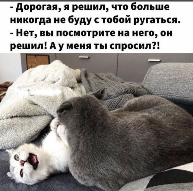Решила она…